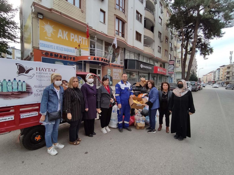 Atık pet şişeler, sokak canlarına şifa oluyor
